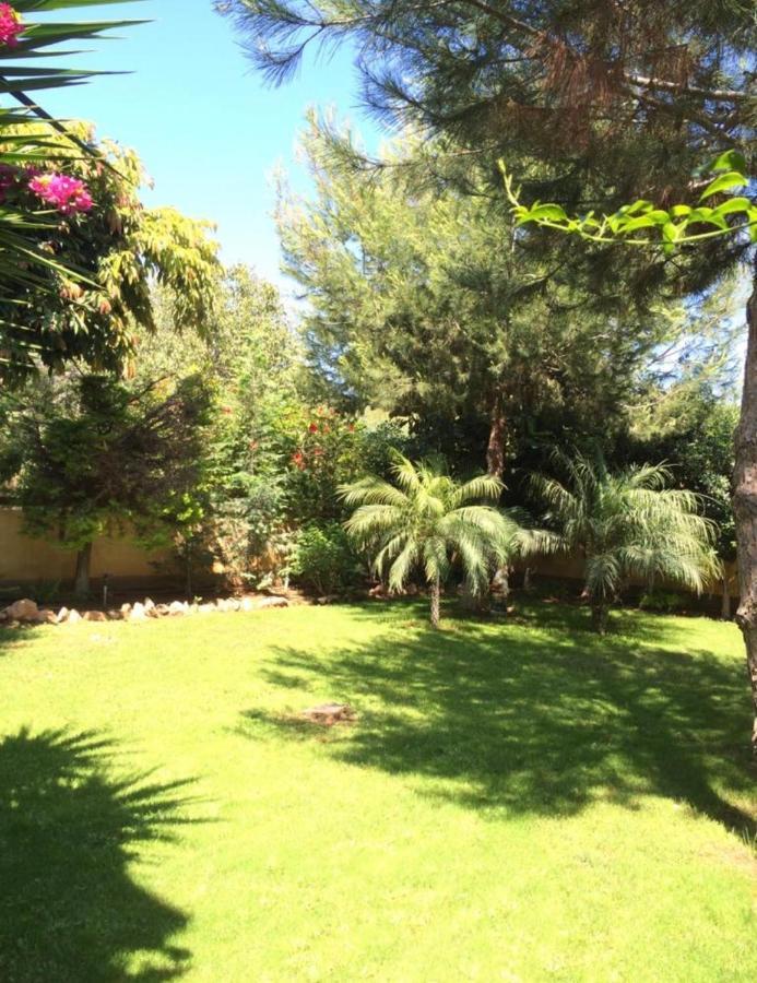 Villa Natalia Ayia Napa Esterno foto