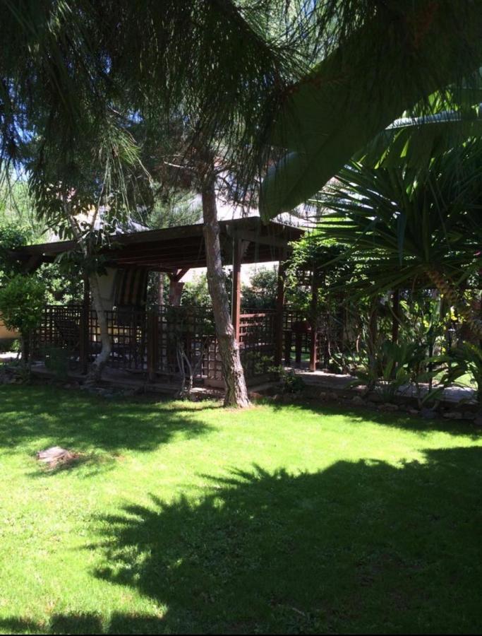 Villa Natalia Ayia Napa Esterno foto